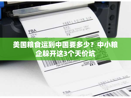 美国粮食运到中国要多少？中小粮企躲开这3个天价坑