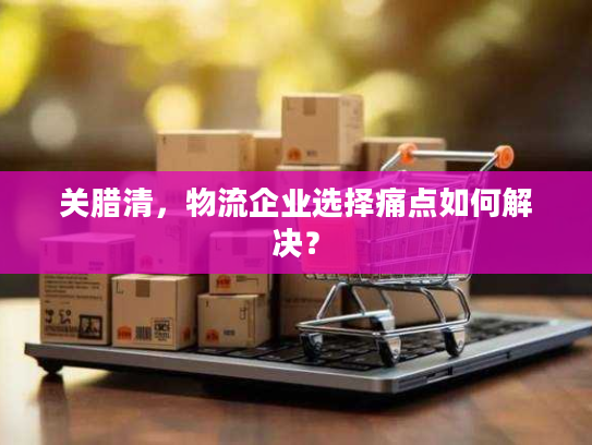 关腊清，物流企业选择痛点如何解决？