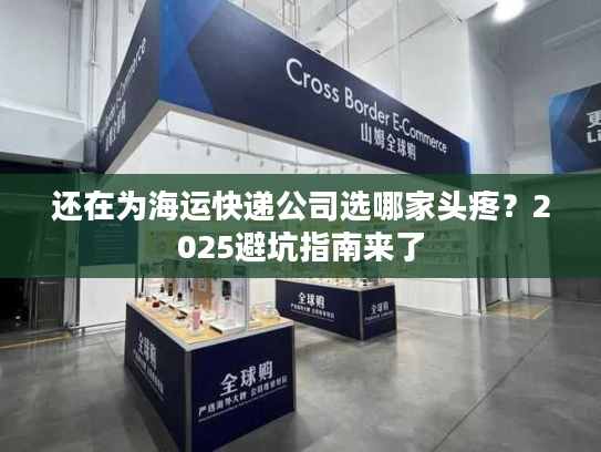 还在为海运快递公司选哪家头疼？2025避坑指南来了