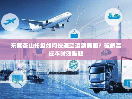 东莞茶山托盘如何快速空运到美国?破解高成本时效难题 东莞茶山托盘如何快速空运到美国?破解高成本时效难题