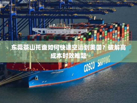 东莞茶山托盘如何快速空运到美国?破解高成本时效难题 东莞茶山托盘如何快速空运到美国?破解高成本时效难题