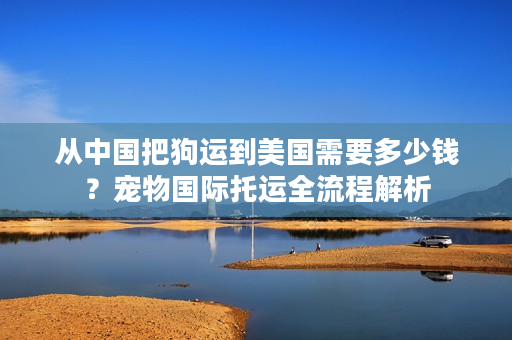 从中国把狗运到美国需要多少钱？宠物国际托运全流程解析