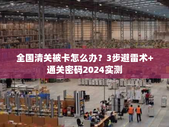 全国清关被卡怎么办？3步避雷术+通关密码2024实测