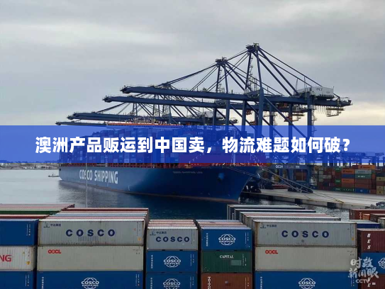 澳洲产品贩运到中国卖，物流难题如何破？