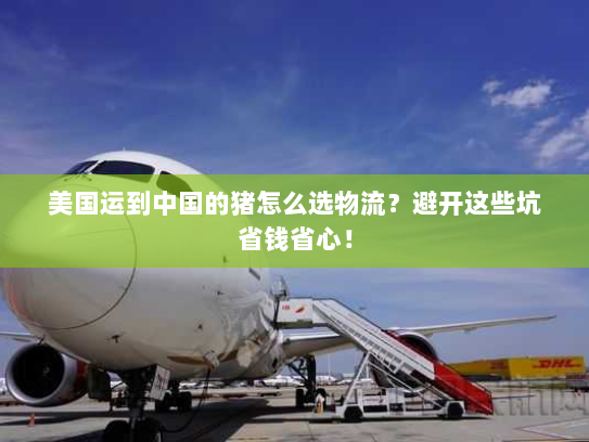 美国运到中国的猪怎么选物流？避开这些坑省钱省心！