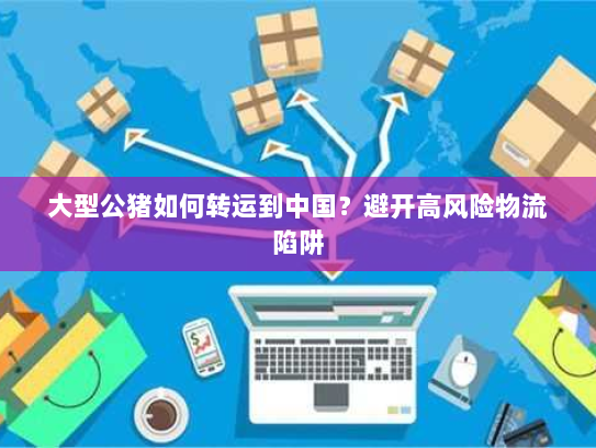 大型公猪如何转运到中国？避开高风险物流陷阱