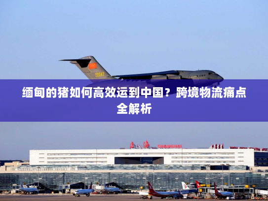 缅甸的猪如何高效运到中国?跨境物流痛点全解析 缅甸的猪如何高效运到中国?跨境物流痛点全解析