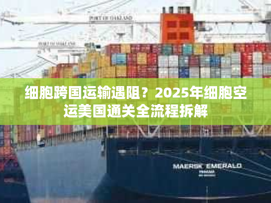 细胞跨国运输遇阻？2025年细胞空运美国通关全流程拆解