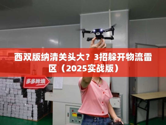 西双版纳清关头大？3招躲开物流雷区（2025实战版）