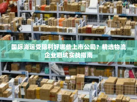 国际海运受阻利好哪些上市公司?精选物流企业避坑实战指南 国际海运受阻利好哪些上市公司?精选物流企业避坑实战指南