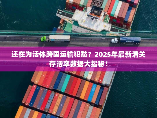 还在为活体跨国运输犯愁？2025年最新清关存活率数据大揭秘！