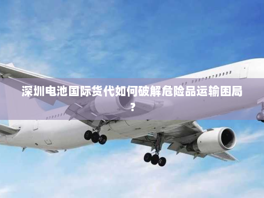 深圳电池国际货代如何破解危险品运输困局？
