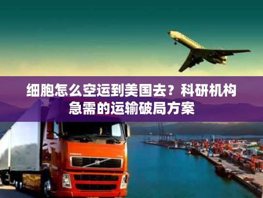 细胞怎么空运到美国去？科研机构急需的运输破局方案