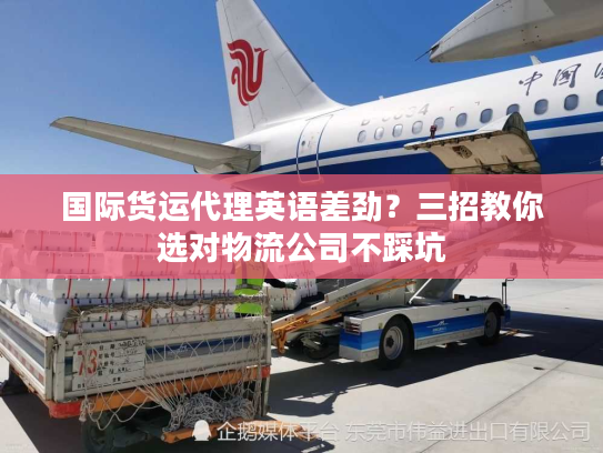 国际货运代理英语差劲?三招教你选对物流公司不踩坑 国际货运代理英语差劲?三招教你选对物流公司不踩坑