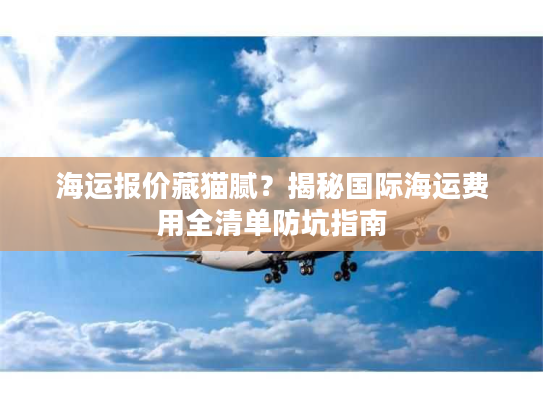 海运报价藏猫腻？揭秘国际海运费用全清单防坑指南