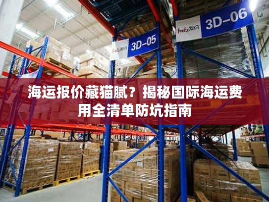 海运报价藏猫腻？揭秘国际海运费用全清单防坑指南