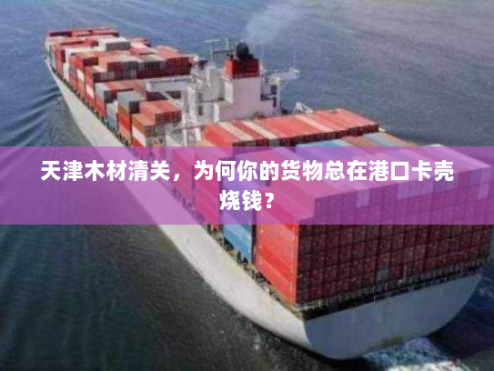 天津木材清关，为何你的货物总在港口卡壳烧钱？