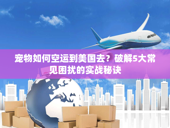 宠物如何空运到美国去？破解5大常见困扰的实战秘诀
