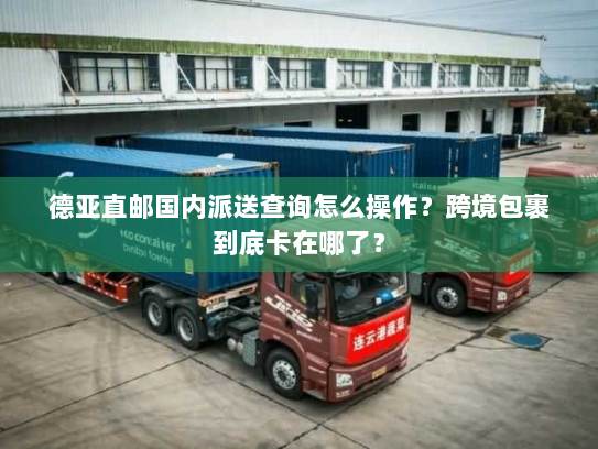 德亚直邮国内派送查询怎么操作?跨境包裹到底卡在哪了? 德亚直邮国内派送查询怎么操作?跨境包裹到底卡在哪了?