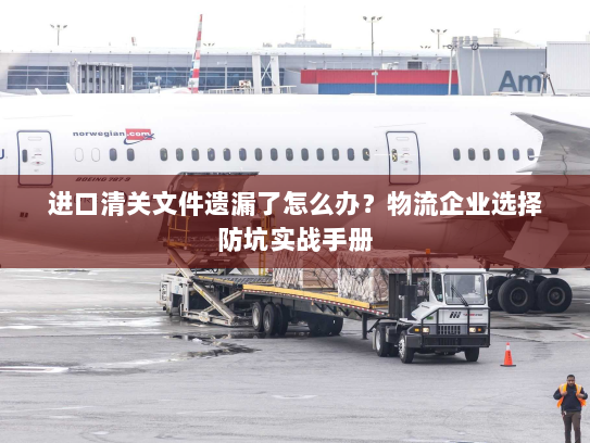 进口清关文件遗漏了怎么办？物流企业选择防坑实战手册