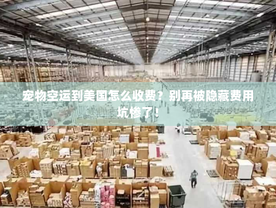 宠物空运到美国怎么收费?别再被隐藏费用坑惨了! 宠物空运到美国怎么收费?别再被隐藏费用坑惨了!