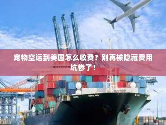 宠物空运到美国怎么收费?别再被隐藏费用坑惨了! 宠物空运到美国怎么收费?别再被隐藏费用坑惨了!