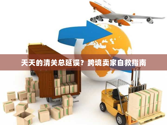 天天的清关总延误?跨境卖家自救指南 天天的清关总延误?跨境卖家自救指南