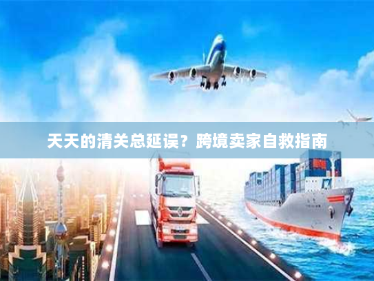 天天的清关总延误?跨境卖家自救指南 天天的清关总延误?跨境卖家自救指南