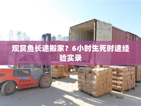 观赏鱼长途搬家？6小时生死时速经验实录