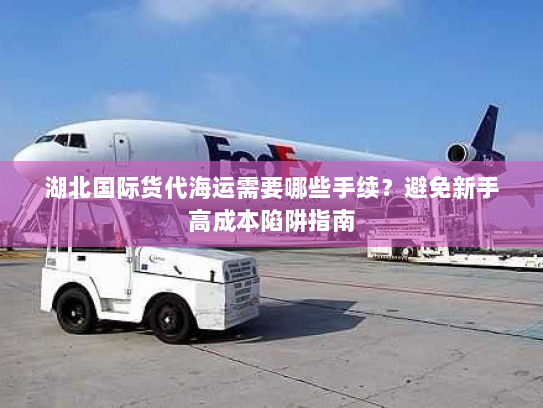 湖北国际货代海运需要哪些手续？避免新手高成本陷阱指南