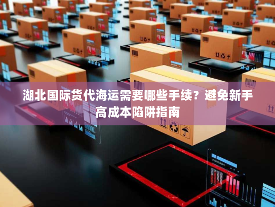 湖北国际货代海运需要哪些手续？避免新手高成本陷阱指南