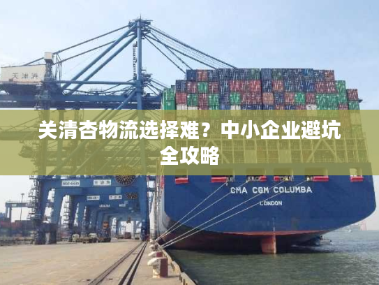 关清杏物流选择难？中小企业避坑全攻略