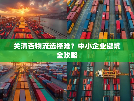 关清杏物流选择难？中小企业避坑全攻略