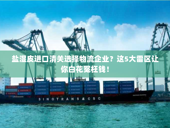 盐湿皮进口清关选择物流企业?这5大雷区让你白花冤枉钱! 盐湿皮进口清关选择物流企业?这5大雷区让你白花冤枉钱!