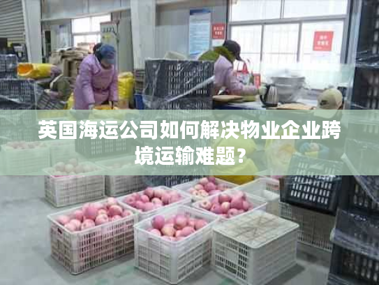 英国海运公司如何解决物业企业跨境运输难题？