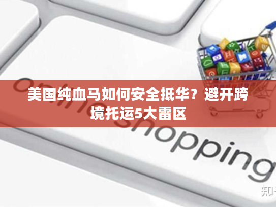 美国纯血马如何安全抵华？避开跨境托运5大雷区