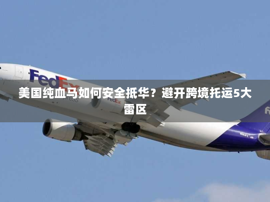 美国纯血马如何安全抵华？避开跨境托运5大雷区