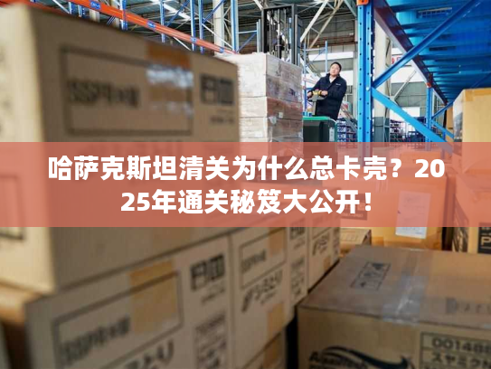 哈萨克斯坦清关为什么总卡壳？2025年通关秘笈大公开！