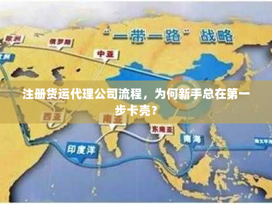 注册货运代理公司流程,为何新手总在第一步卡壳? 注册货运代理公司流程,为何新手总在第一步卡壳?