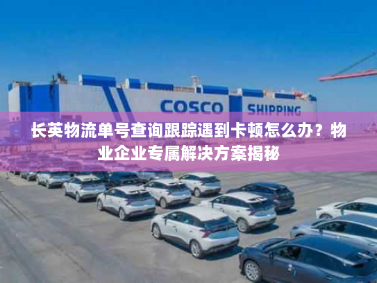 长英物流单号查询跟踪遇到卡顿怎么办?物业企业专属解决方案揭秘 长英物流单号查询跟踪遇到卡顿怎么办?物业企业专属解决方案揭秘