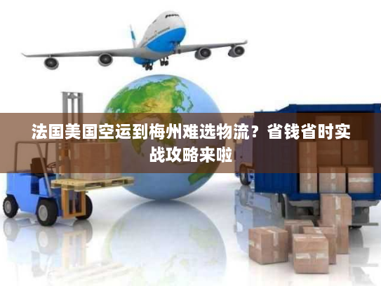 法国美国空运到梅州难选物流?省钱省时实战攻略来啦 法国美国空运到梅州难选物流?省钱省时实战攻略来啦