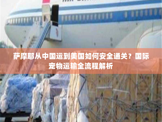 萨摩耶从中国运到美国如何安全通关?国际宠物运输全流程解析 萨摩耶从中国运到美国如何安全通关?国际宠物运输全流程解析