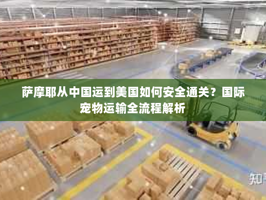 萨摩耶从中国运到美国如何安全通关?国际宠物运输全流程解析 萨摩耶从中国运到美国如何安全通关?国际宠物运输全流程解析