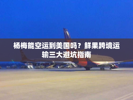 杨梅能空运到美国吗?鲜果跨境运输三大避坑指南 杨梅能空运到美国吗?鲜果跨境运输三大避坑指南