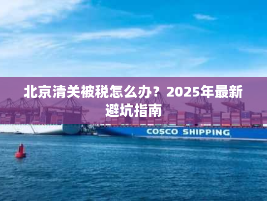 北京清关被税怎么办？2025年最新避坑指南