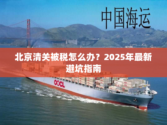 北京清关被税怎么办？2025年最新避坑指南