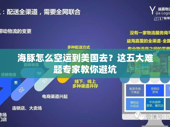 海豚怎么空运到美国去？这五大难题专家教你避坑