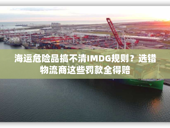 海运危险品搞不清IMDG规则？选错物流商这些罚款全得赔