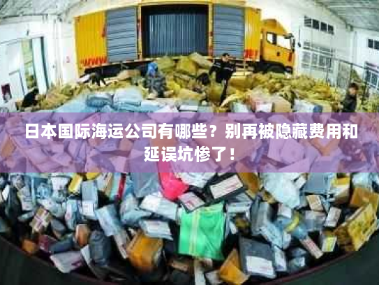 日本国际海运公司有哪些?别再被隐藏费用和延误坑惨了! 日本国际海运公司有哪些?别再被隐藏费用和延误坑惨了!