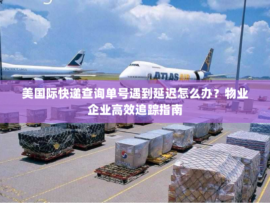 美国际快递查询单号遇到延迟怎么办？物业企业高效追踪指南